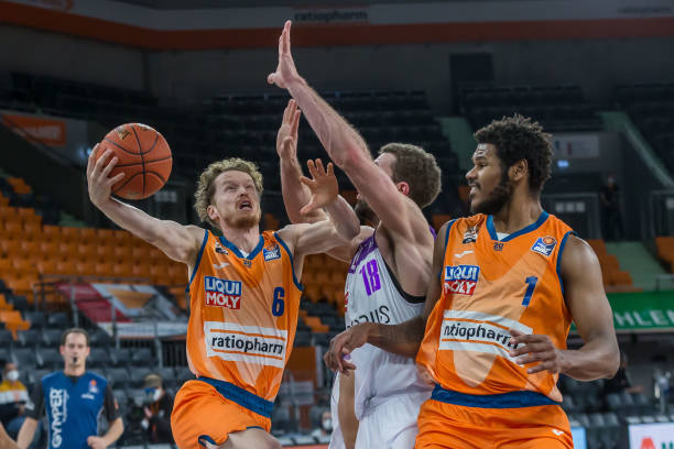 山东还引进 山东还引进