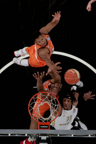 在全球羽毛 在全球羽毛