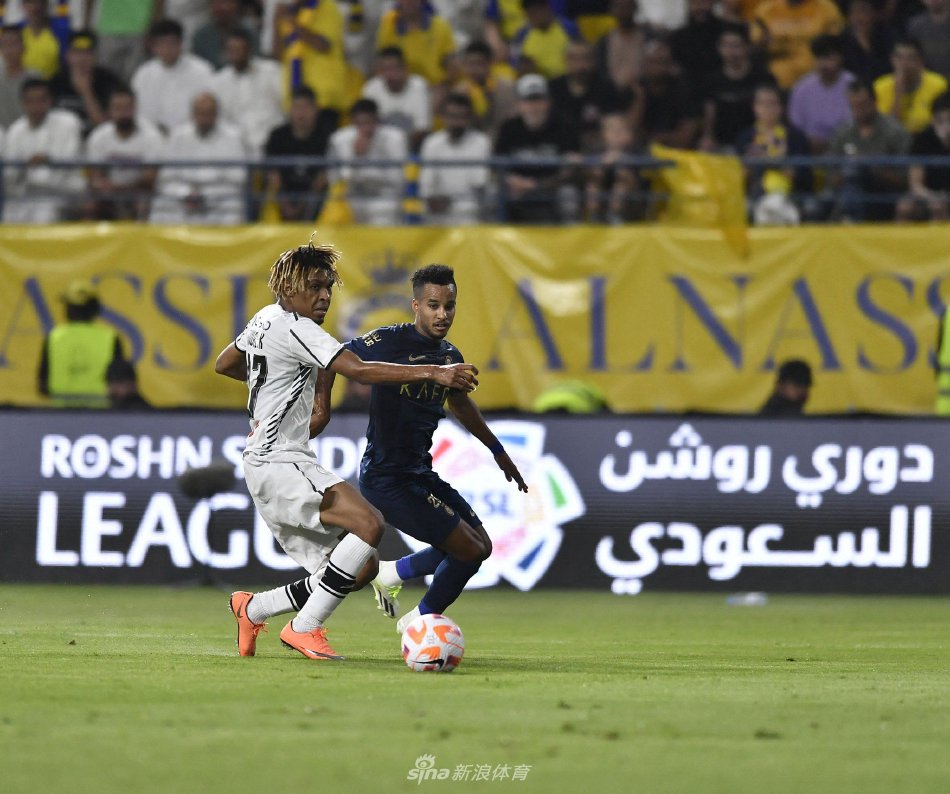 既具观赏性 既具观赏性